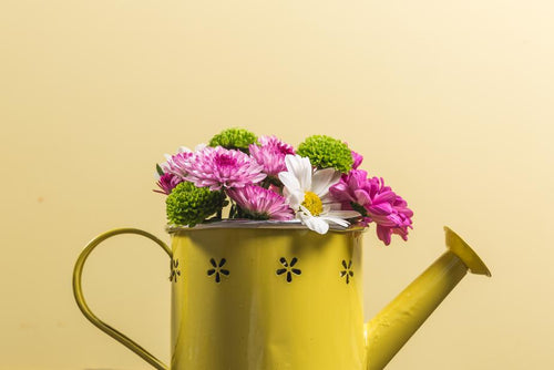 Yellow watering can - chocolaroyale