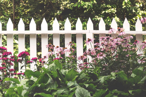 Wooden Fence - chocolaroyale